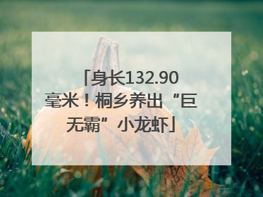 身长132.90毫米！桐乡养出“巨无霸”小龙虾